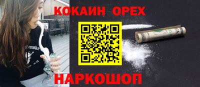 шишки Заводоуковск
