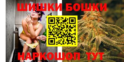 шишки Заводоуковск