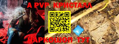 шишки Заводоуковск