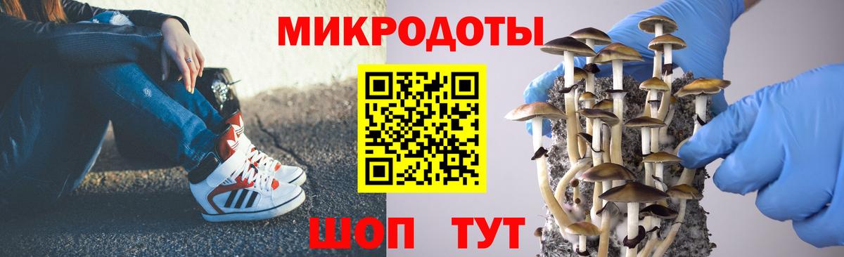 Галлюциногенные грибы Cubensis Геленджик